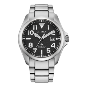 Citizen Promaster Brown Dial Titanium Solar Watch BN024159H