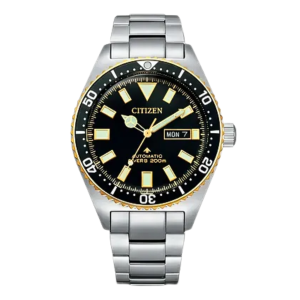 Citizen Promaster Black Dial Stainless Steel Automatic Watch NY012583E