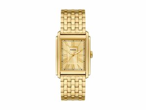 Fossil FS6009